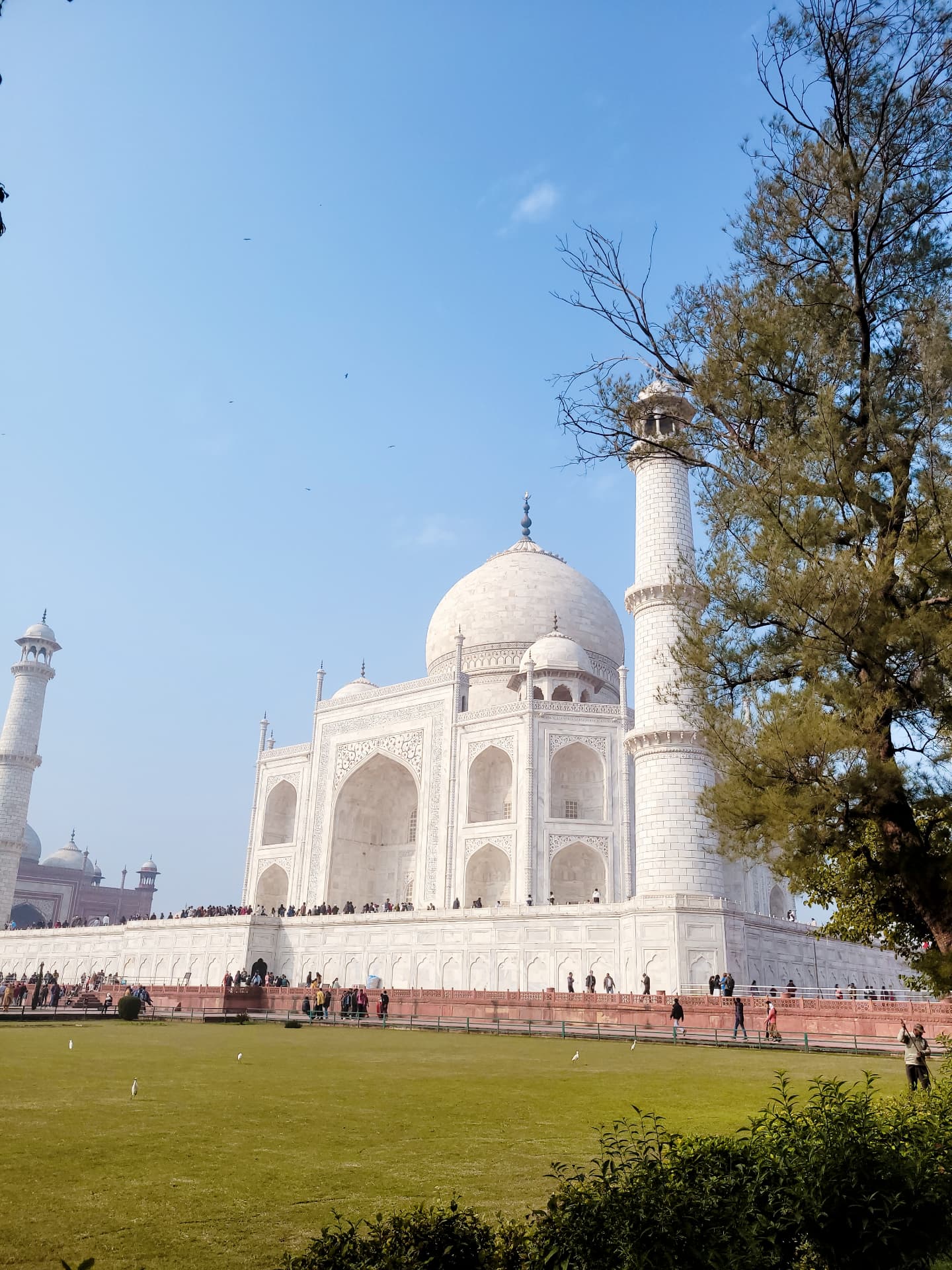 Peregrinación mística a India · 10